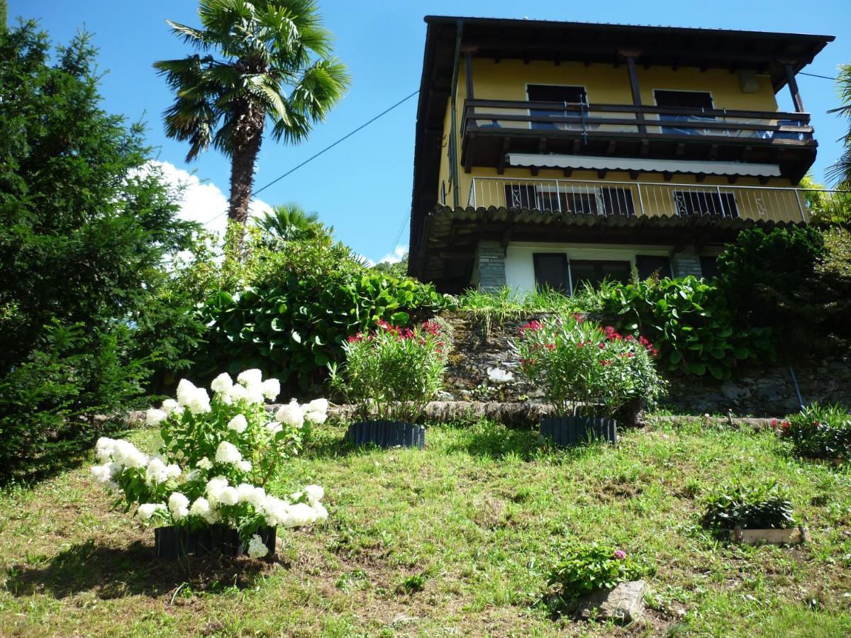 Ferienwohnung Casa Petra Gambarogno Exterior foto